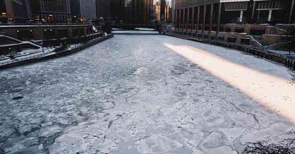 鲸鱼机器人人工智能项目