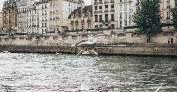 AI绘画男生穿婚纱（绘画穿婚纱的女孩）
