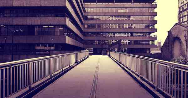 外国语单招大数据的行业文章