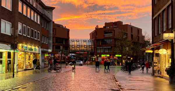 智能中英翻译机器人 智能中英翻译机器人怎么用