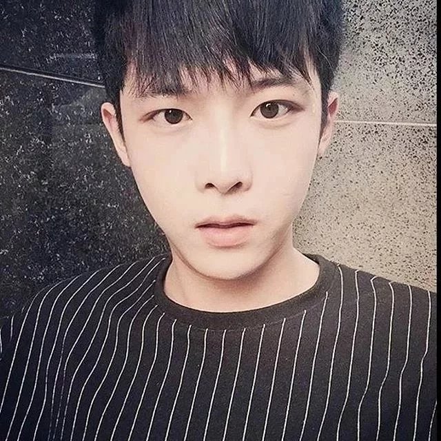 连毅菊爽