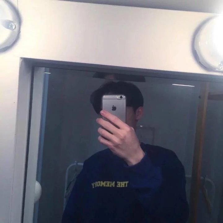 宰凡彪蝶