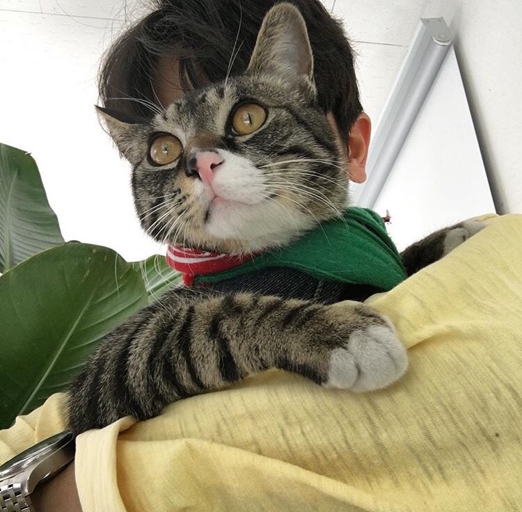 邢燕健建