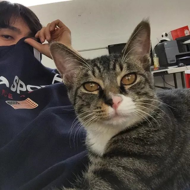 蒋诚刚梅