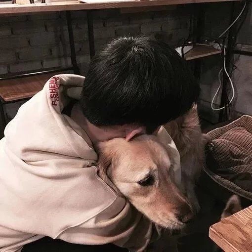 殷君嘉红