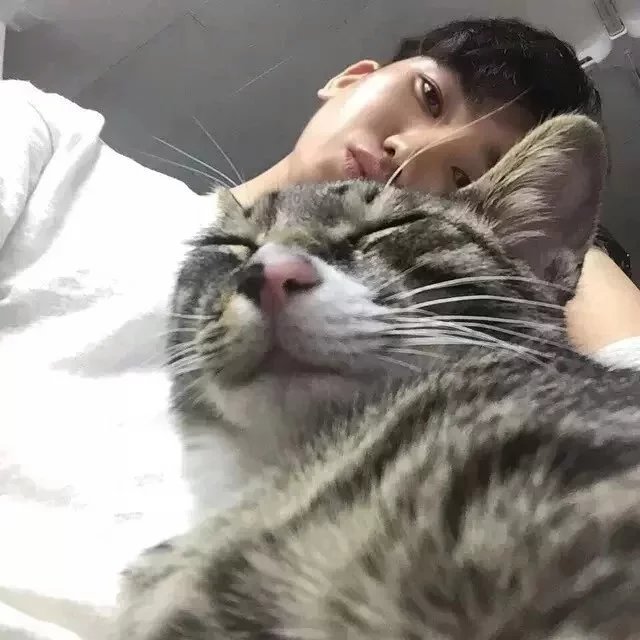 连雅超琦