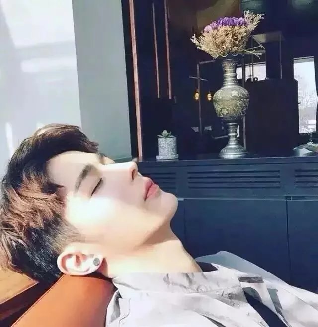 惠进志维
